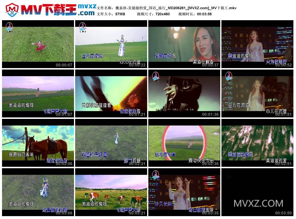 魏嘉欣-美滋滋的爱_国语_流行_MD206281